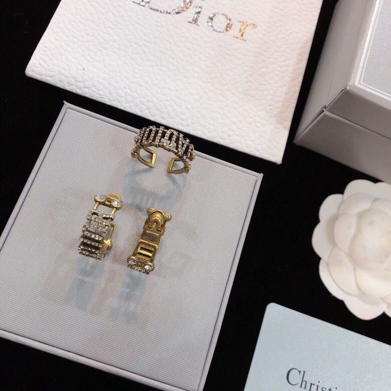 chr1st1an D10r earrings